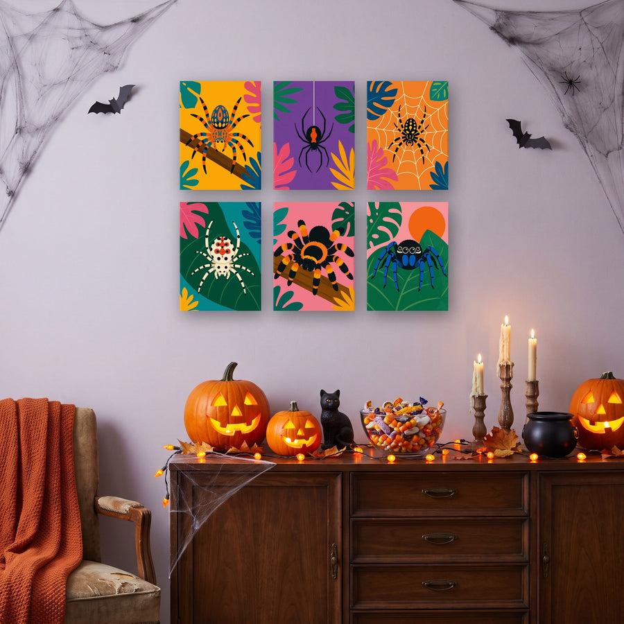 Coffret "Araignées Tropicales" – 6 peintures par numéro