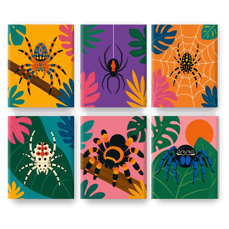 Coffret "Araignées Tropicales" – 6 peintures par numéro