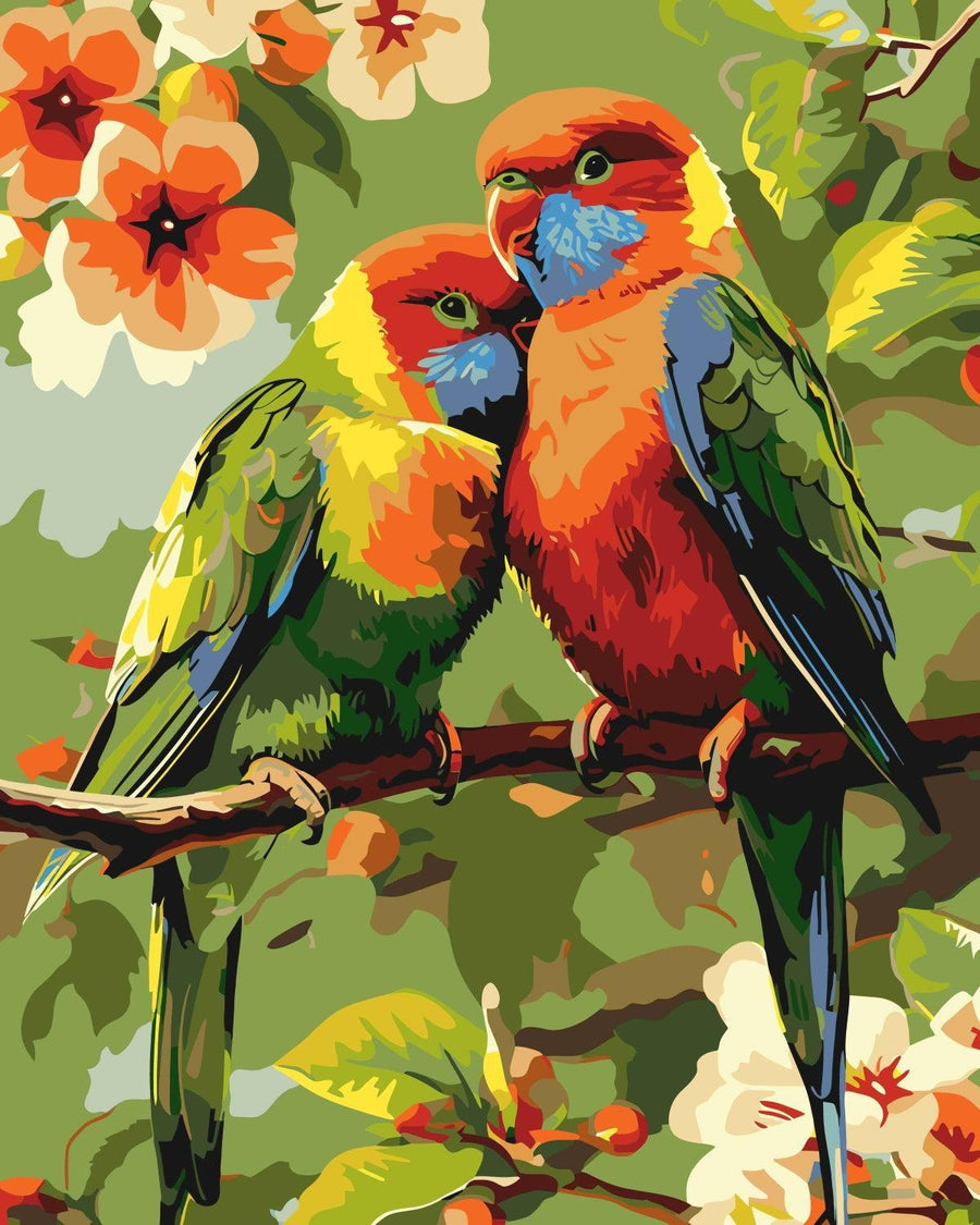 Deux Oiseaux Colorés | Peinture par numéro