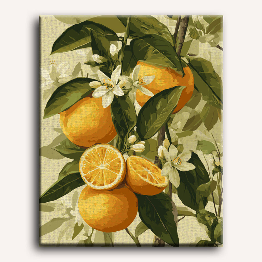 Agrumes en Fleurs | Peinture par numéro