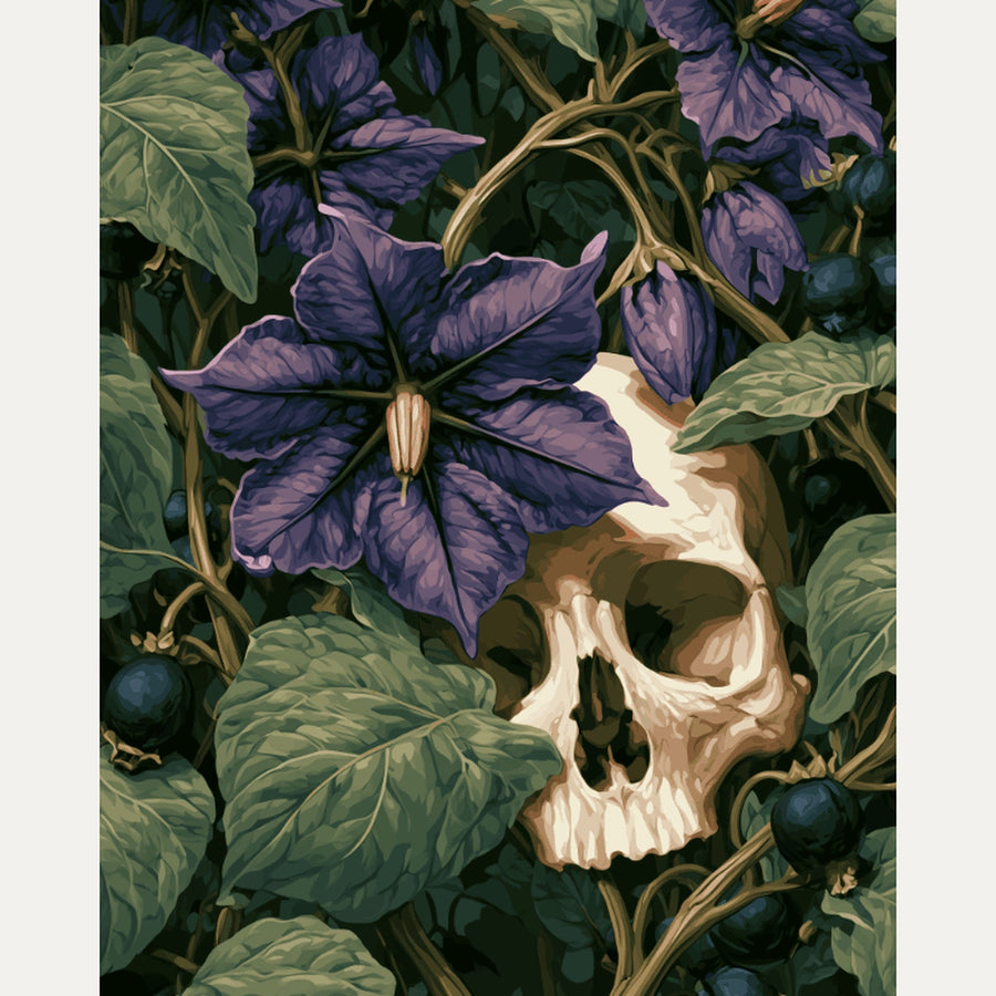 Belladone et Crâne | Peinture par numéro