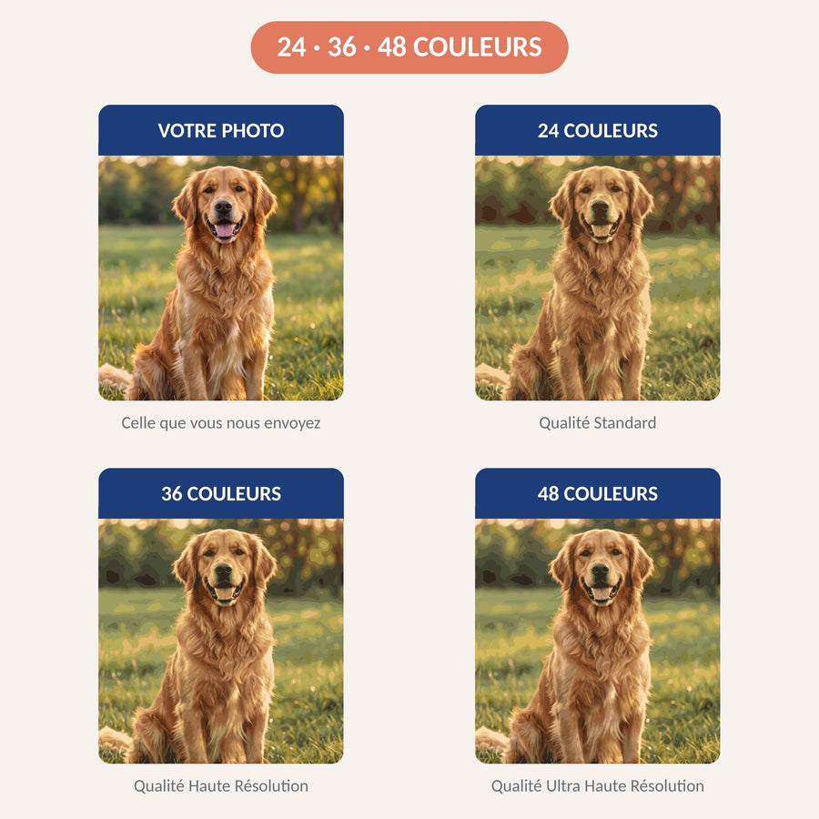 Votre Animal en Peinture par Numéro Personnalisée