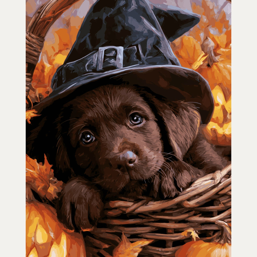 Chiot Chocolat Sorcier | Peinture par numéro