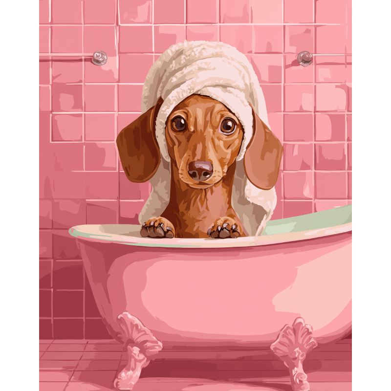 Dachshund au Bain | Peinture par numéro