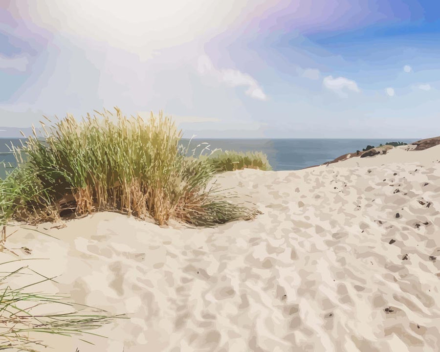 Dunes Baltiques | Peinture par numéro