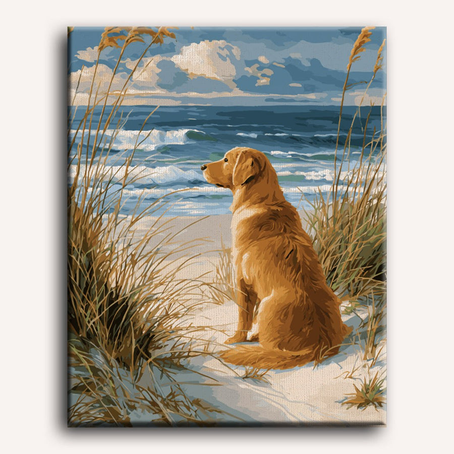 Golden Retriever à la Plage | Peinture par numéro