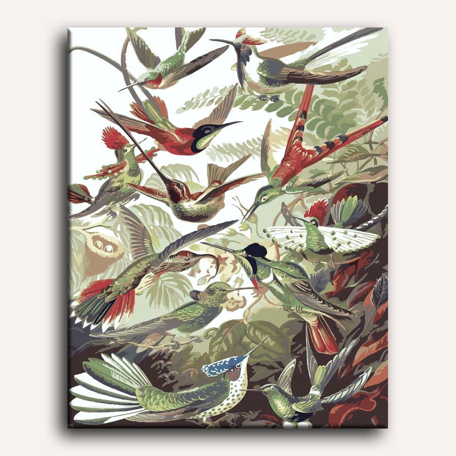 Colibris Haeckel | Peinture par numéro