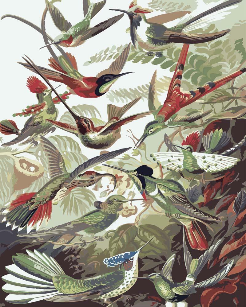 Colibris Haeckel | Peinture par numéro