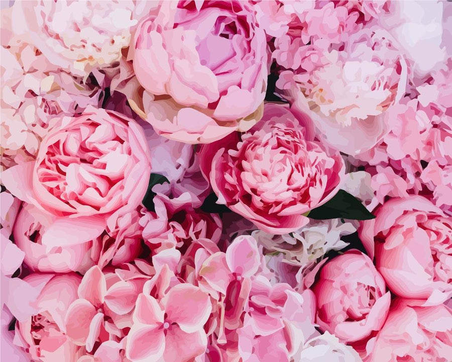 Fond de Pivoines Roses | Peinture par numéro