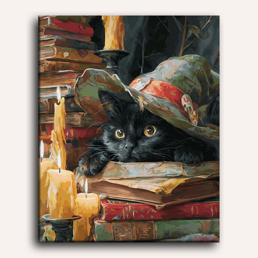 Chat Sorcière | Peinture par numéro