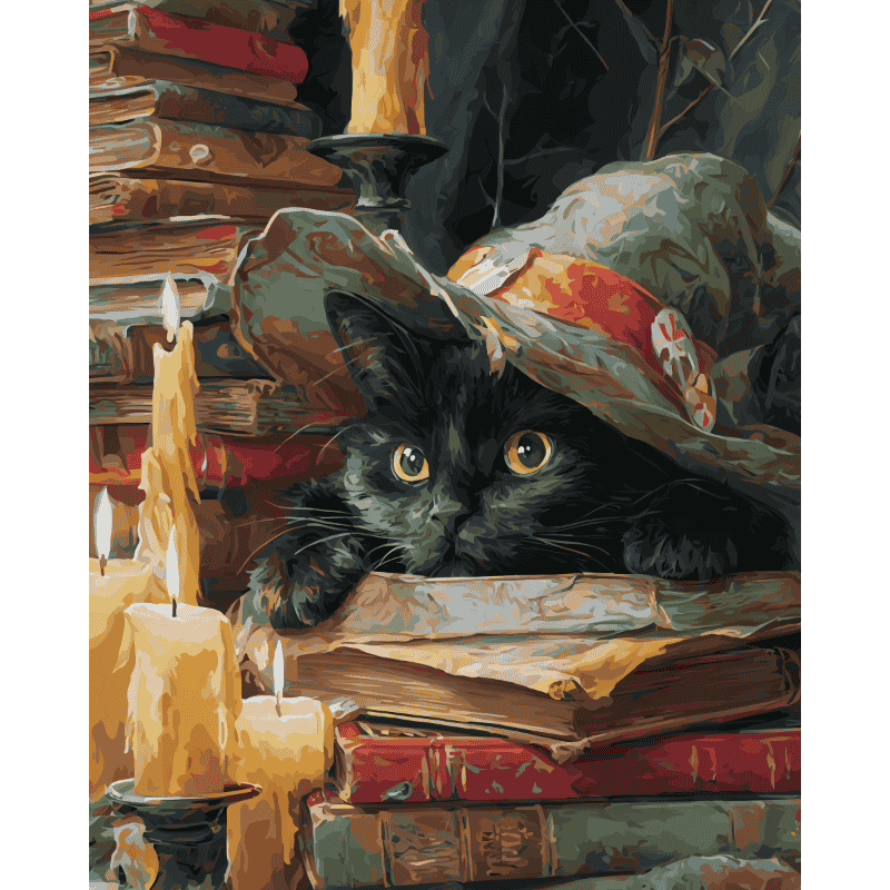 Chat Sorcière | Peinture par numéro