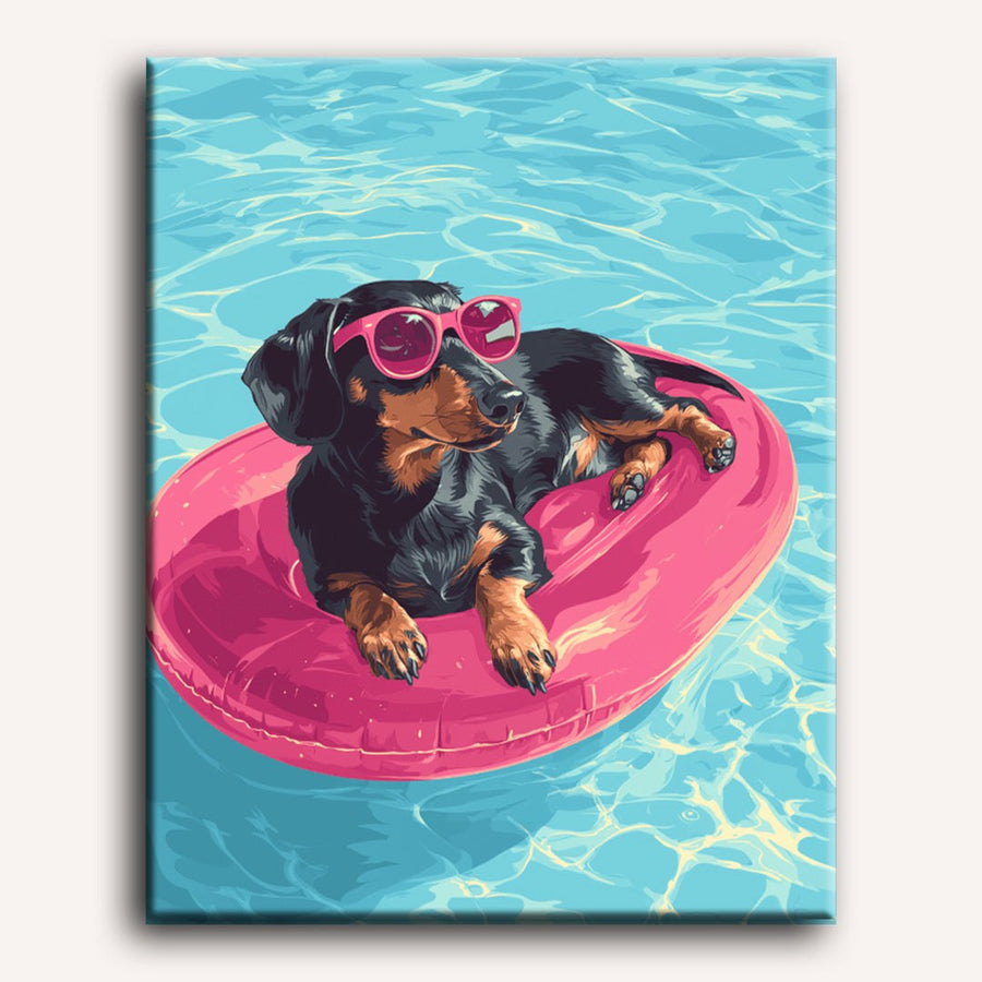 Teckel à la Piscine | Peinture par numéro