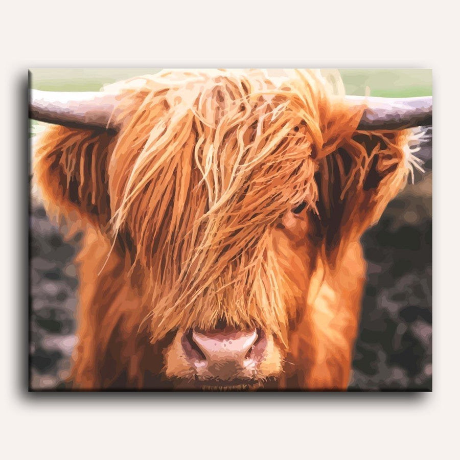 Vache des Highlands | Peinture par numéro